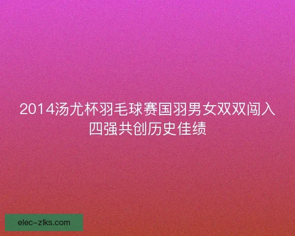 2014汤尤杯羽毛球赛国羽男女双双闯入四强共创历史佳绩