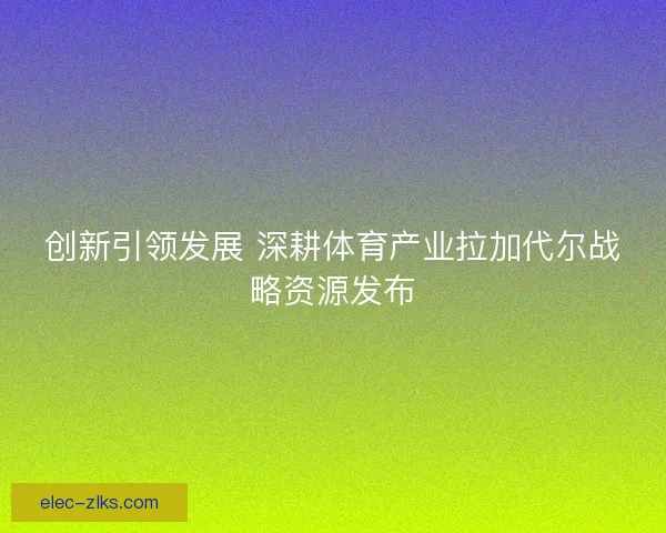 创新引领发展 深耕体育产业拉加代尔战略资源发布